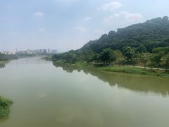 -风云岭森林公园