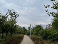 -白鹭湾湿地公园
