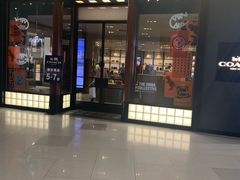-COACH蔻驰(恒隆广场店)