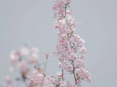 -贵阳市花溪国家城市湿地公园