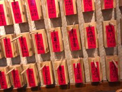 -田边二娃子·湖南民间菜