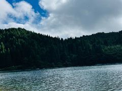 -武陵山森林公园