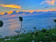 -枸杞岛