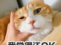 -济南大学-第8食堂