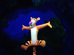 -小熊维尼历险之旅