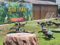 -大连老虎滩海洋公园