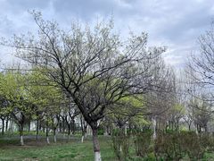 -临汾涝洰河生态公园