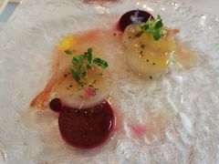 -蝶舍·MAISON PAPILLON