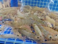 -叶姐海鲜(棋子湾店)