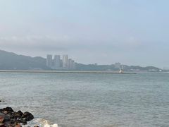 -野狸岛