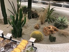 -OUR Bakery(SKP-S店)