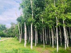 -长春市南湖公园