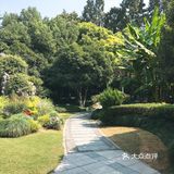 杭州旅游攻略|三大热门景点攻略合辑（二）