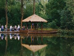 -溱湖国家湿地公园