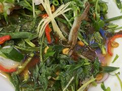 -万年酒楼(越秀南路店)