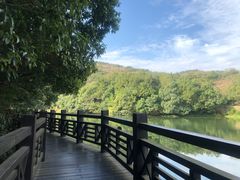 -白马涧龙池景区