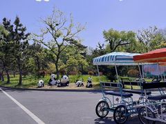 -巧克力渔家.小船海鲜胶东菜(万平口店)