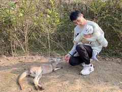 -泉州海丝野生动物世界