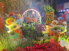 -越秀西湖花市(广州城市广场花卉店)