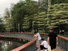 -四海公园(南山区)