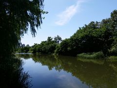 -新江湾城公园