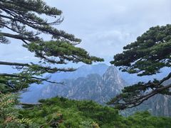 -黄山风景区