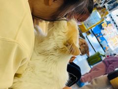 -平行世界·猫咖(首经贸店)