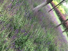 -北运河水利风景区