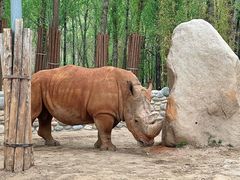 -北京野生动物园