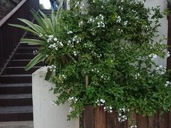 -悦哉·派对·草坪婚礼·围炉煮茶(三圣乡店)