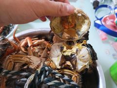 -岳各庄批发市场(西四环中路店)