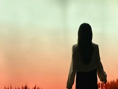 -合肥蜀山万象汇