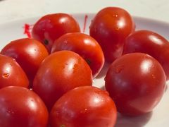 小番茄-蜀滋香鲜鱼美蛙火锅(339店)