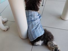 -怪兽屋·羊驼·猫咖·狗咖(俊华广场店)