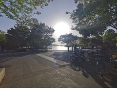 -东湖落雁景区