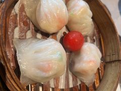 -新兴·金羊座·粤菜点心(乐峰店)