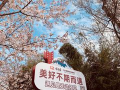 -玄武湖景区-情侣园游乐场