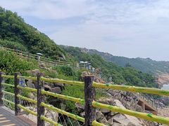 -广东惠东海龟国家级自然保护区