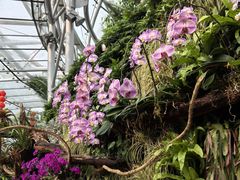 -北京植物园-展览温室