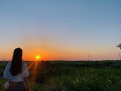 -南汇嘴观海公园