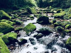 -碧峰峡风景区