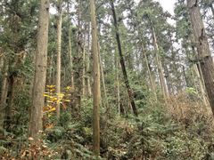 -青龙山国家森林公园