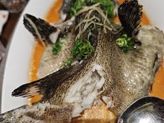 -张家卫·阳江菜·小海鲜(肥婆湾桥店)