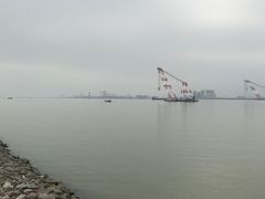 -大湾区中央湿地公园