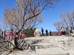 -香山公园