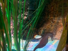 -沈阳海洋探索中心