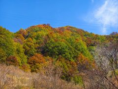 -驼梁风景区