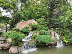 -江心屿景区