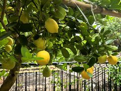 -澳门圣地牙哥古堡酒店