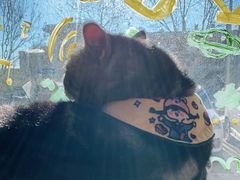 -平行世界·猫咖(首经贸店)